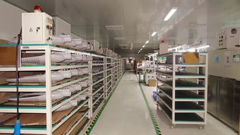 響應(yīng)一帶一路倡議，燈具塑件企業(yè)積極拓展海外市場(chǎng)